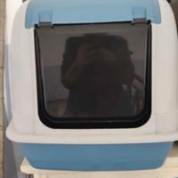 Lettiera per gatti grande