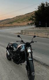 Benelli Leoncino 500