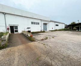 AURELIA/BOCCEA - Capannone commerciale con corte