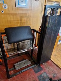 biceps machine