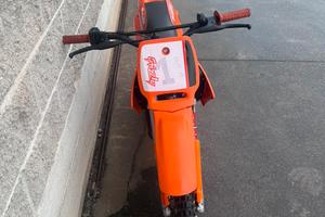 Pit Bike 50cc grizzly