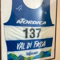 Official FIS SkiRace Bib Dolomiti Superski