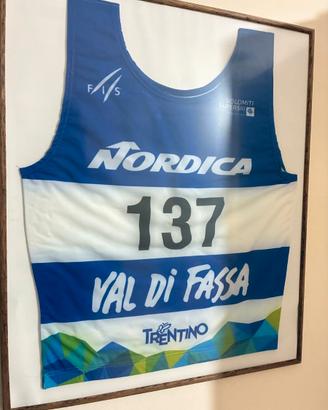 Official FIS SkiRace Bib Dolomiti Superski