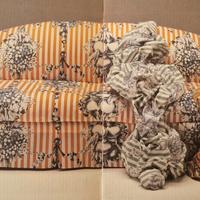 Divano - letto Altrenotti