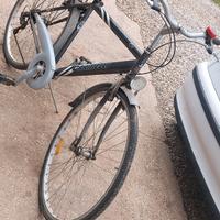 Bici carnielli da uomo