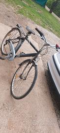 Bici carnielli da uomo