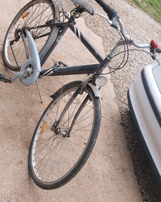 Bici carnielli da uomo