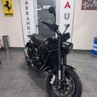 Benelli Leoncino 500 leoncini
