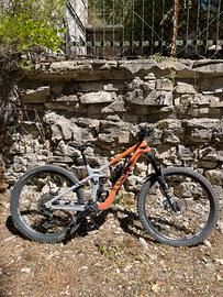 Canyon Strive Underdog