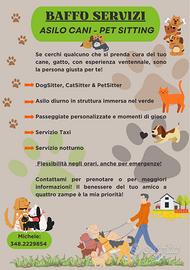 Asilo, Pensione, Pet Sitting, Dog Sitter