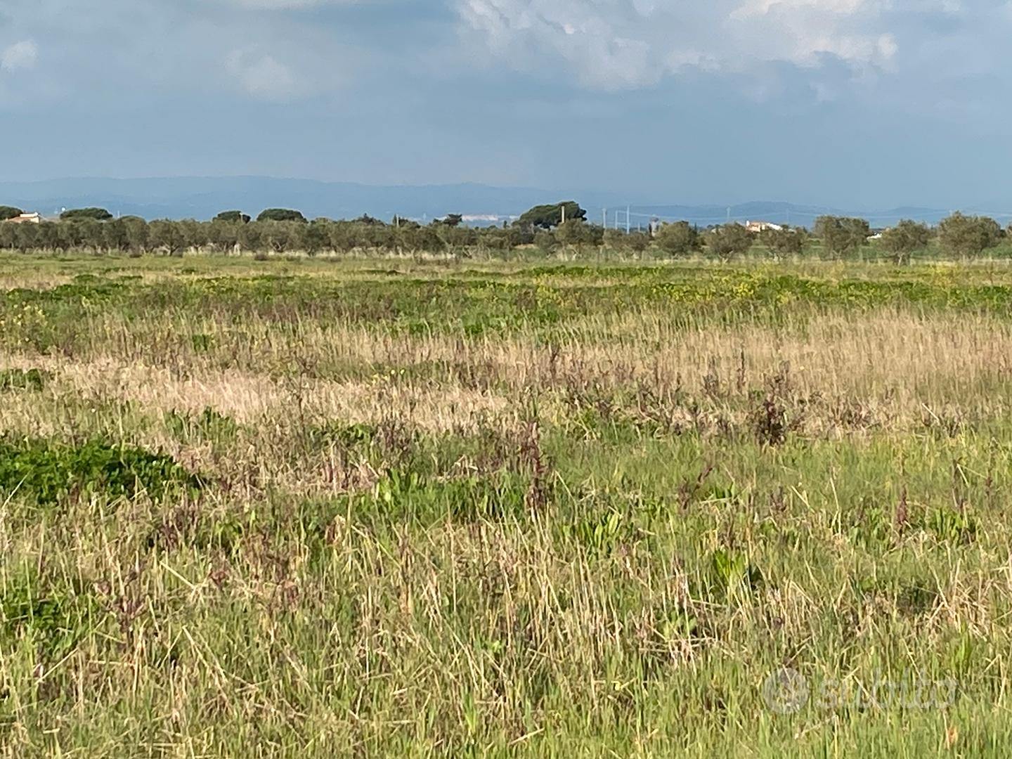 Terreno agricolo anche con ulivi vicino al mare - Vista 2