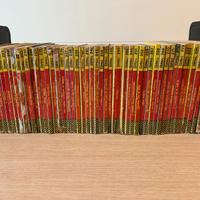 Lotto Kriminal 50 nri dal 217 al 300 particolare