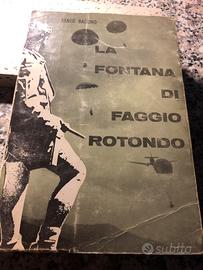 La fontana di faggio rotondo