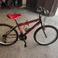 bicicletta
