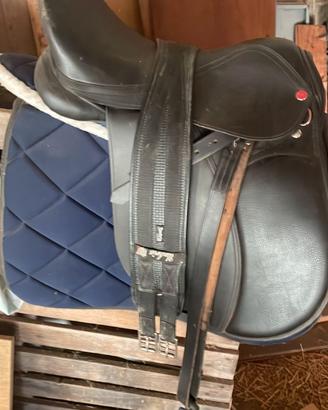 sella cavallo grande