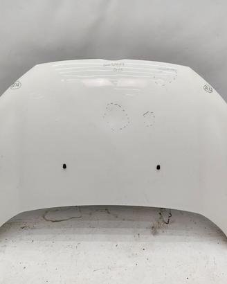 Cofano anteriore ford ecosport ii 2013-2022 spcn15