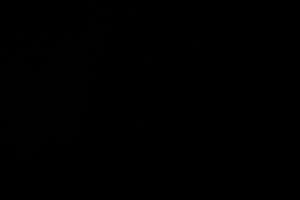 Appartamento mantova