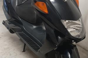 motori