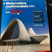 Matematica multimediale.blu 1