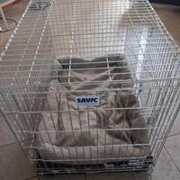 Gabbia grande per cani Savic Residence 118x75x86