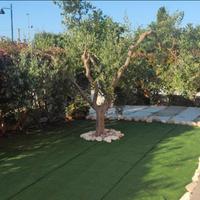 Estate 2026 a Roseto degli Abruzzi