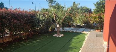 Estate 2026 a Roseto degli Abruzzi