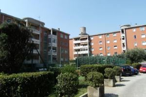 Rif.23640| box auto trieste