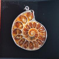 Ammonite Madagascar ciondolo argento