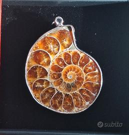 Ammonite Madagascar ciondolo argento