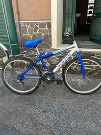 Bicicletta mountain bike ragazzi