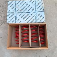 Molle ribassate reparto corse  ford fiesta mk8