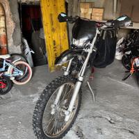 Beta 50