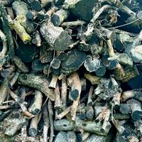 legna di ulivo EXTRA STAGIONATA (oltre 24mesi)