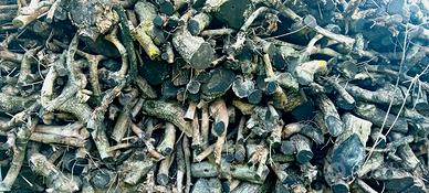 legna di ulivo EXTRA STAGIONATA (oltre 24mesi)