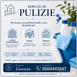 Servizi pulizie