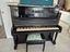 Immagine 1