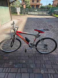 Bici Renegate Carnielli