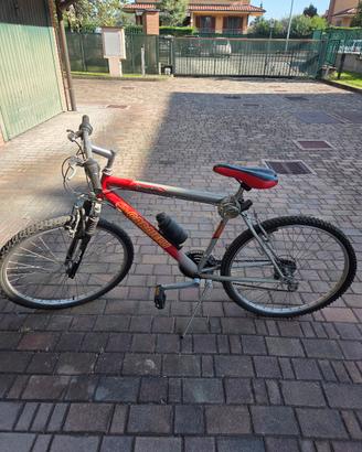 Bici Renegate Carnielli