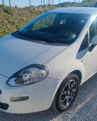 Fiat Punto IV 1.3 Mjet Street 75Cv - 2014