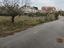 Immagine 3