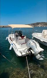 Barca bluline plus 19 open 90 cv