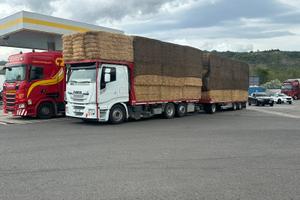 Stralis trasporto foraggio