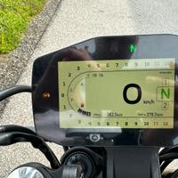 Benelli Leoncino 800 cc