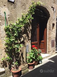 Rustico in Pitigliano