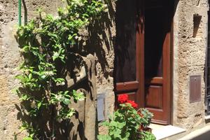 Rustico in Pitigliano
