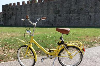 Bici da città vintage gialla