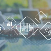 Ramo di azienda "MIRIAL S.r.l." a Sant'Elpidio a