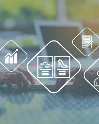 Ramo di azienda "MIRIAL S.r.l." a Sant'Elpidio a