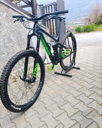 Canyon Strive 29 MTB Enduro