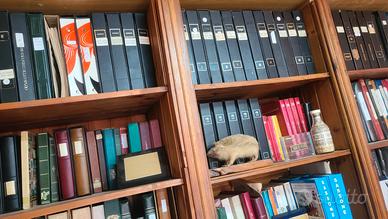 GROSSO LOTTO DI FRANCOBOLLI 